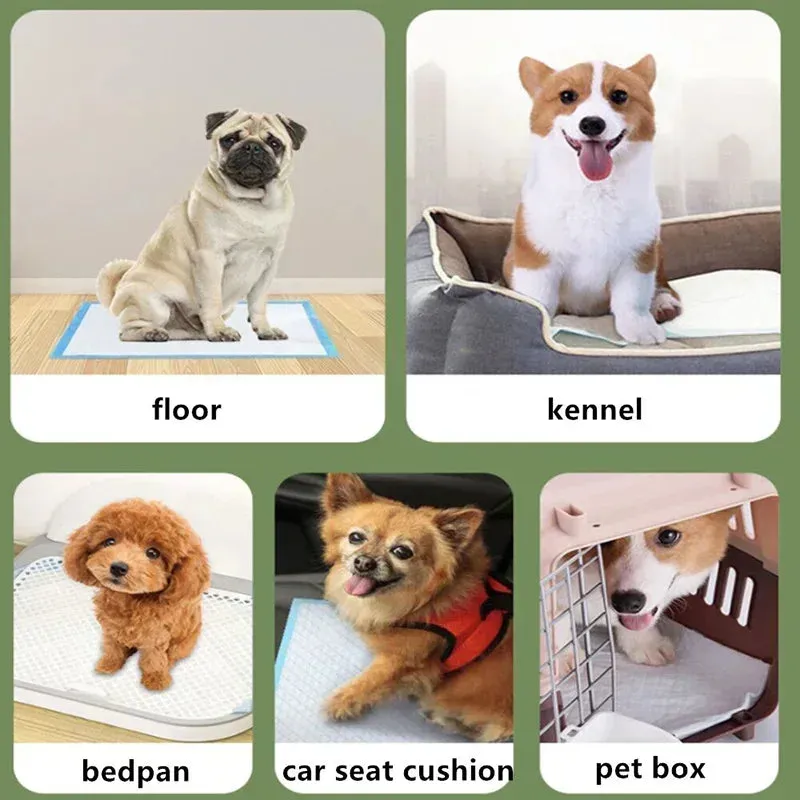 100PCS Thickened Absorbent Dog Puppy Training Pads