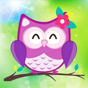 2019 New Hot Sale Cartoon Cute Colorful Owl  Diy 5d Rhinestone Art VM1926
