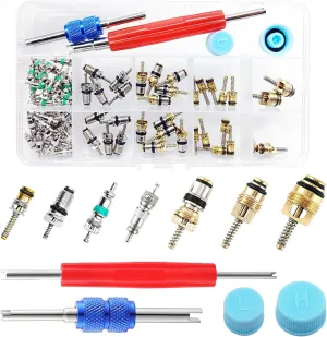 78PCS AC Valve Core Removal Tool Kit,Car Air Conditioner Valve Core Kit,R134a Refrigeration Air Conditioner Valve Core Repair,Double Head Dual Dismantling Installer Tool Assortment Kit