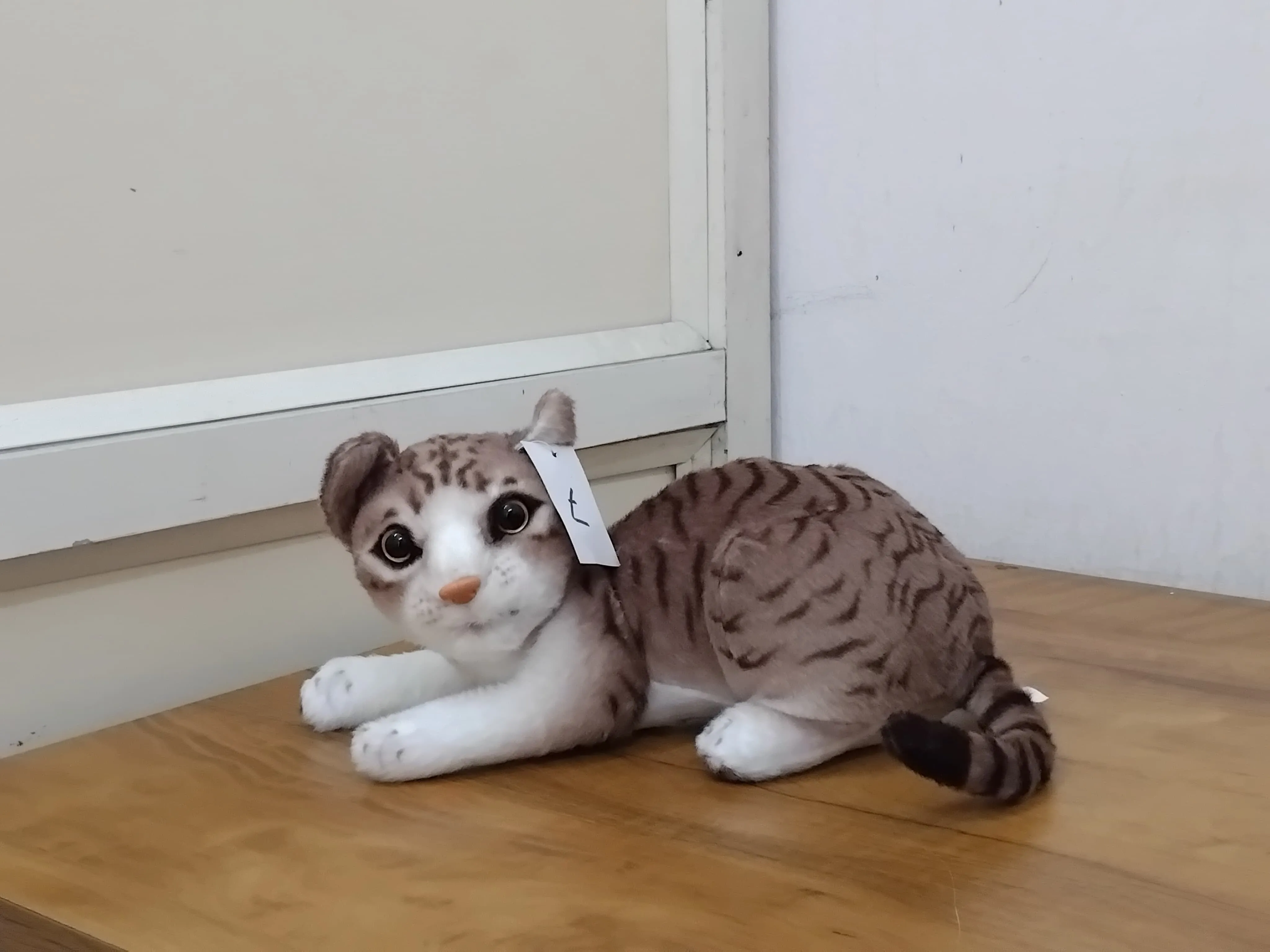 AM3141 Cat Toys Soft 8inch Toy Stuffed Plush 95gm