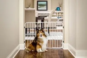 Carlson Expandable Metal Pet Gate with Pet Door