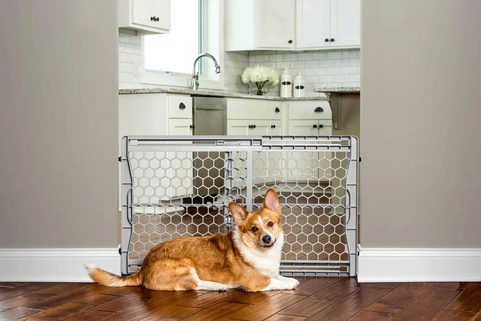 Carlson Expandable Plastic Gate