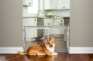 Carlson Expandable Plastic Gate