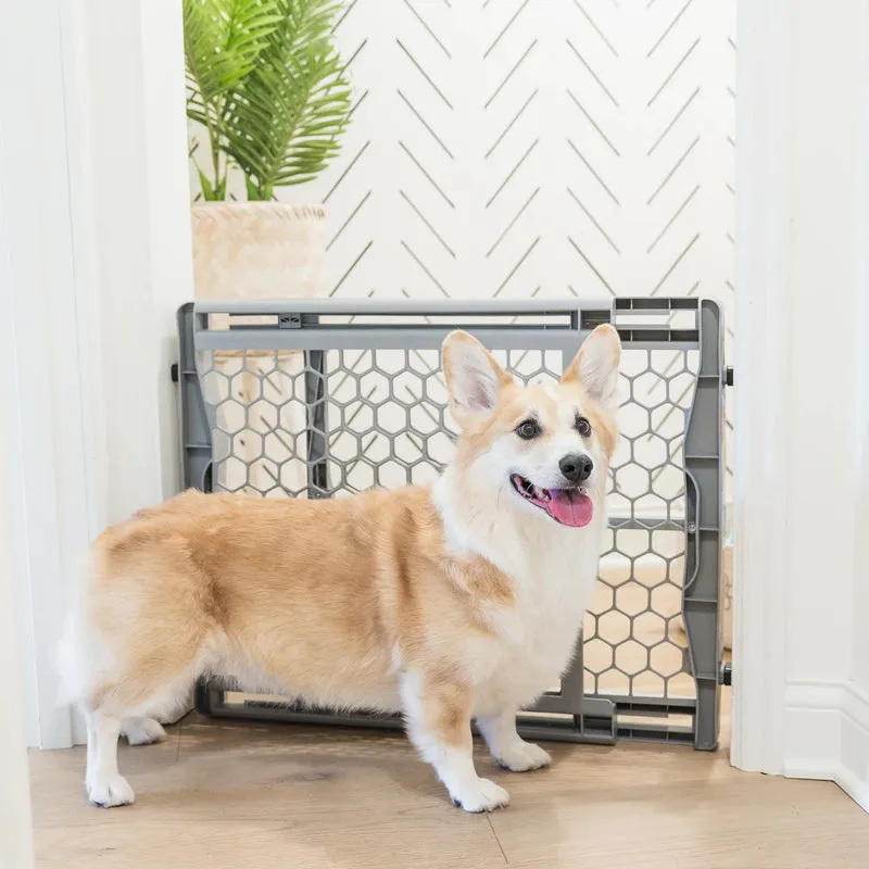 Carlson Plastic Expandable Pet Gate 23"