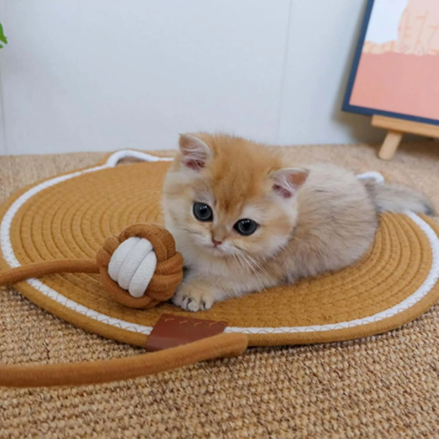ClawLoom Dual Scratching Pad for Cats, Natural Cotton Rope Cat Scratching Mat, Pets Double-Sided Scratch Pad for Indoor Cats, Large Cat Furniture Protector with Pet Toy (Oval-E, Large)