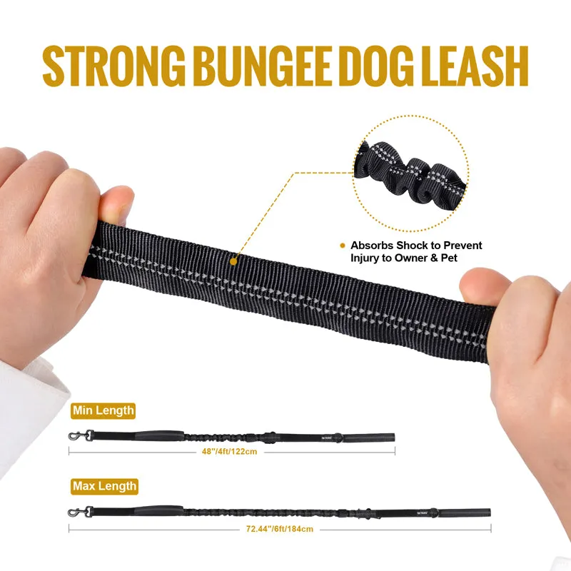 Dog Leash 17