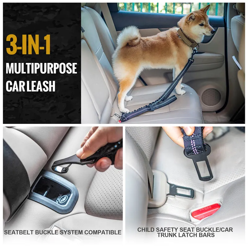 Dog Leash 17