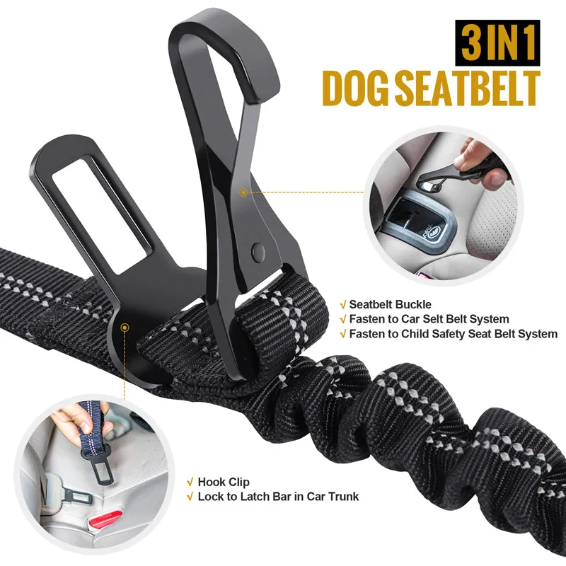 Dog Leash 17