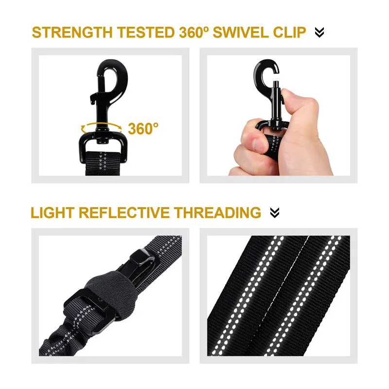 Dog Leash 17
