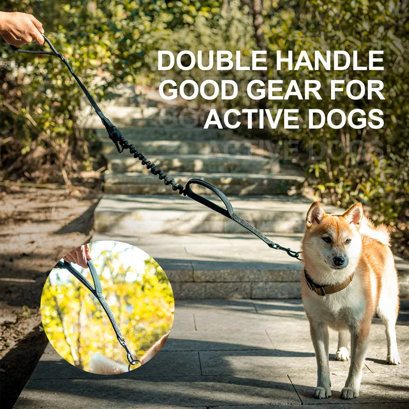 Dog Leash 17