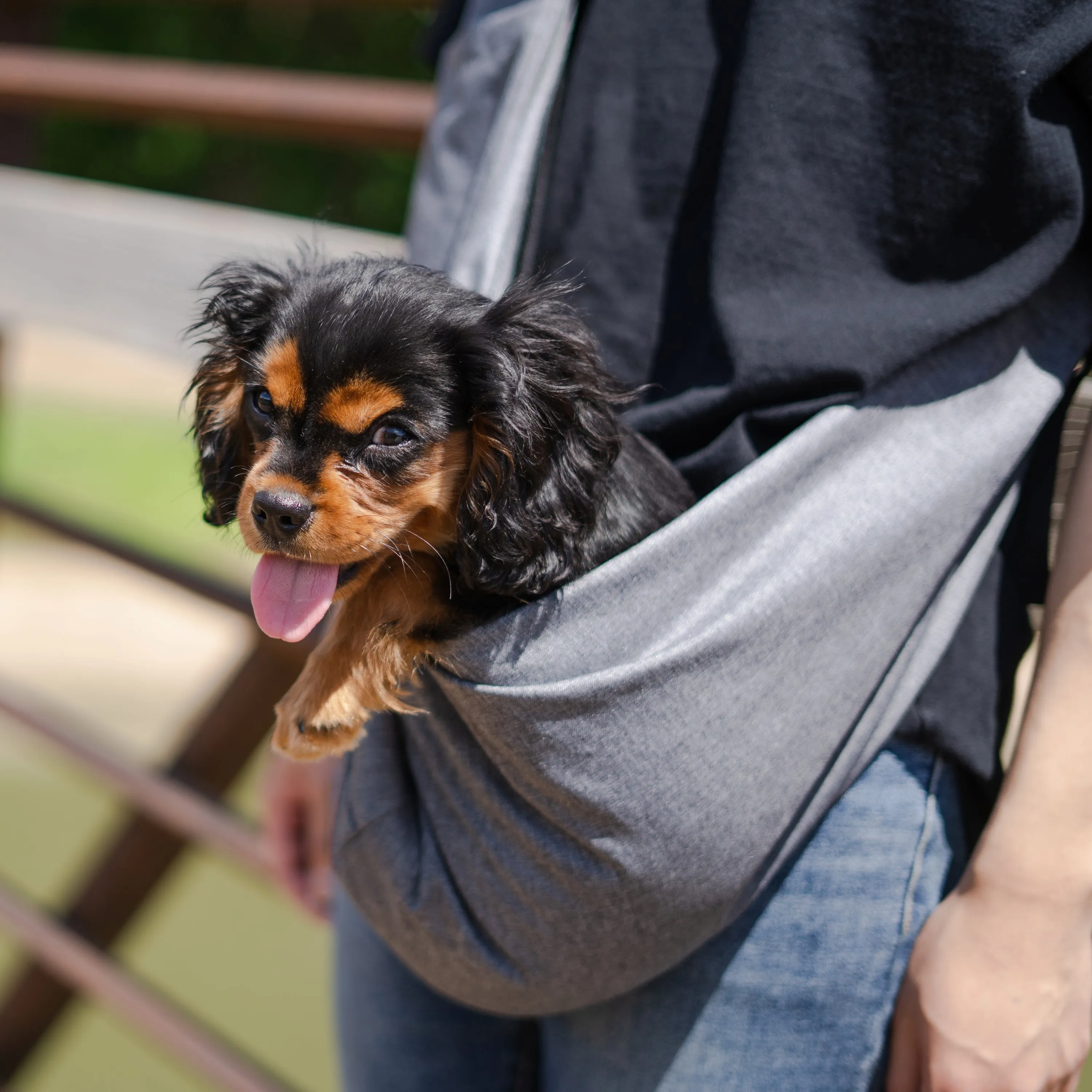 Dog Sling Carrier For Small Dogs