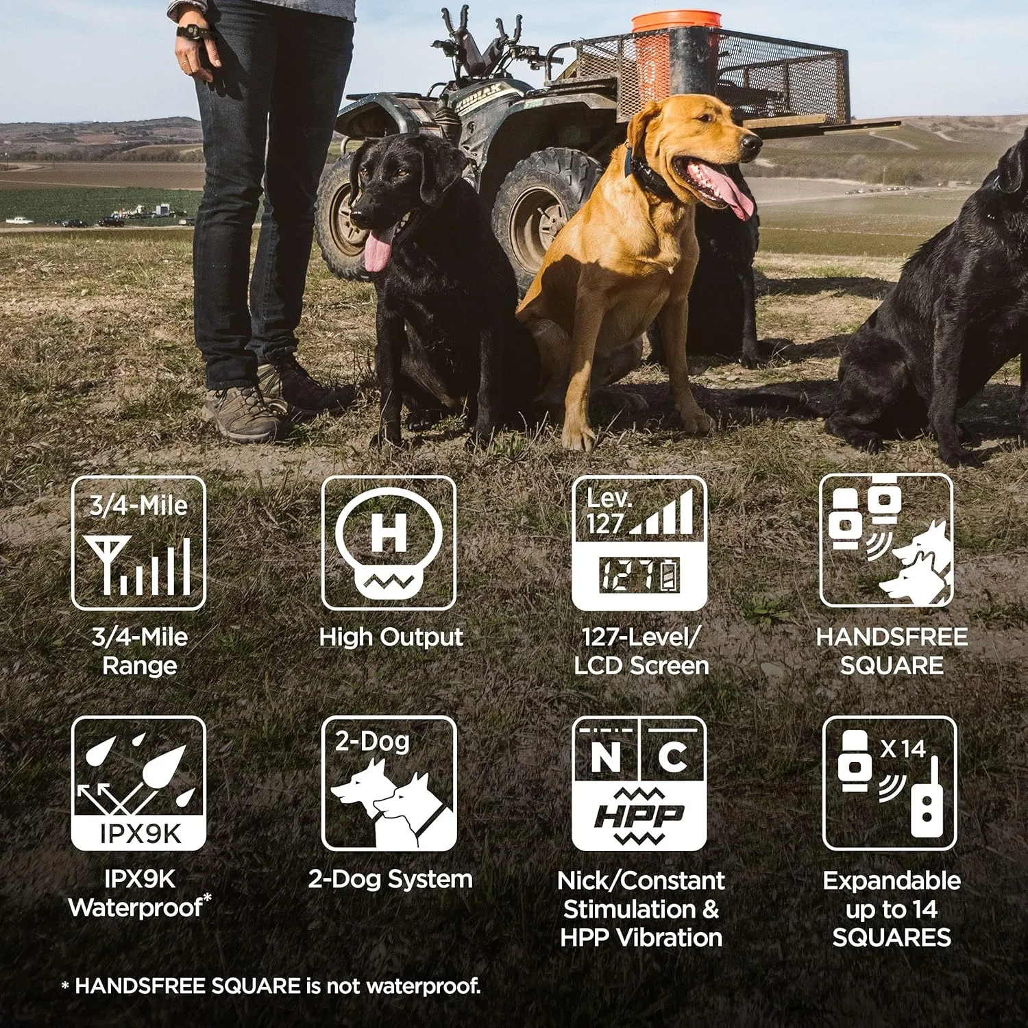 Dogtra 1902S HANDSFREE Plus 2-Dog Remote Dog Training E-Collar with Expandable HANDSFREE Square for Discreet Control Ergonomic Rechargeable 3/4-Mile Range Waterproof High-Output