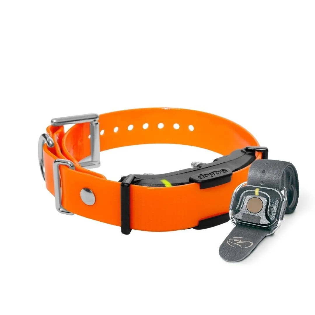 Dogtra ARC HANDSFREE PLUS 3/4-Mile Additional Dog Training Receiver, Orange