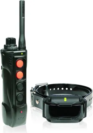 Dogtra Edge RT Trainer