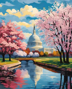 Generic Spring Blossom Washington D.C. (4) - Van-Go Paint-by-Number Kit 40x50cm w/o Frame