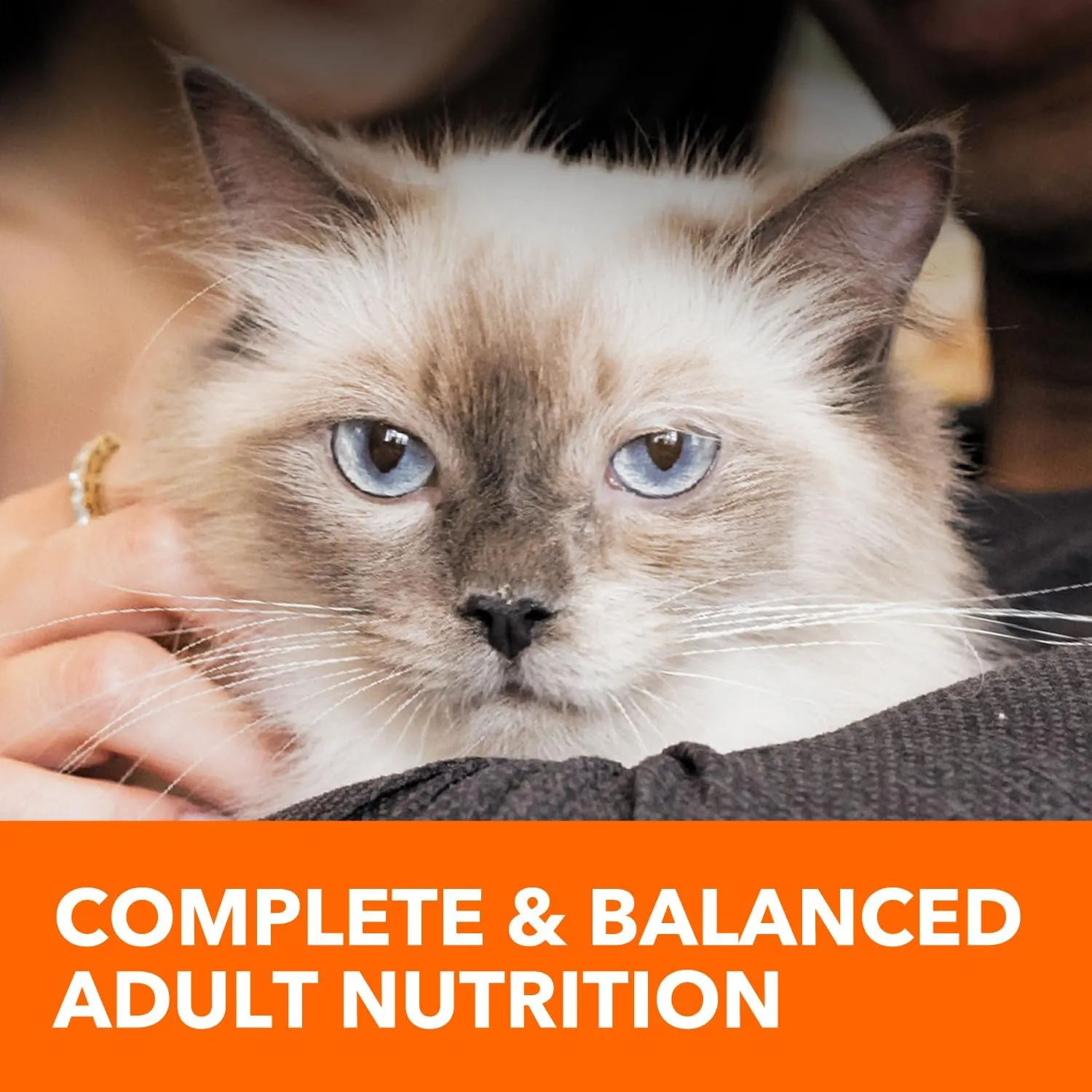 IAMS Healthy Enjoyment Dry Cat Food Chicken & Beef Recipe, 15 lb. Bag