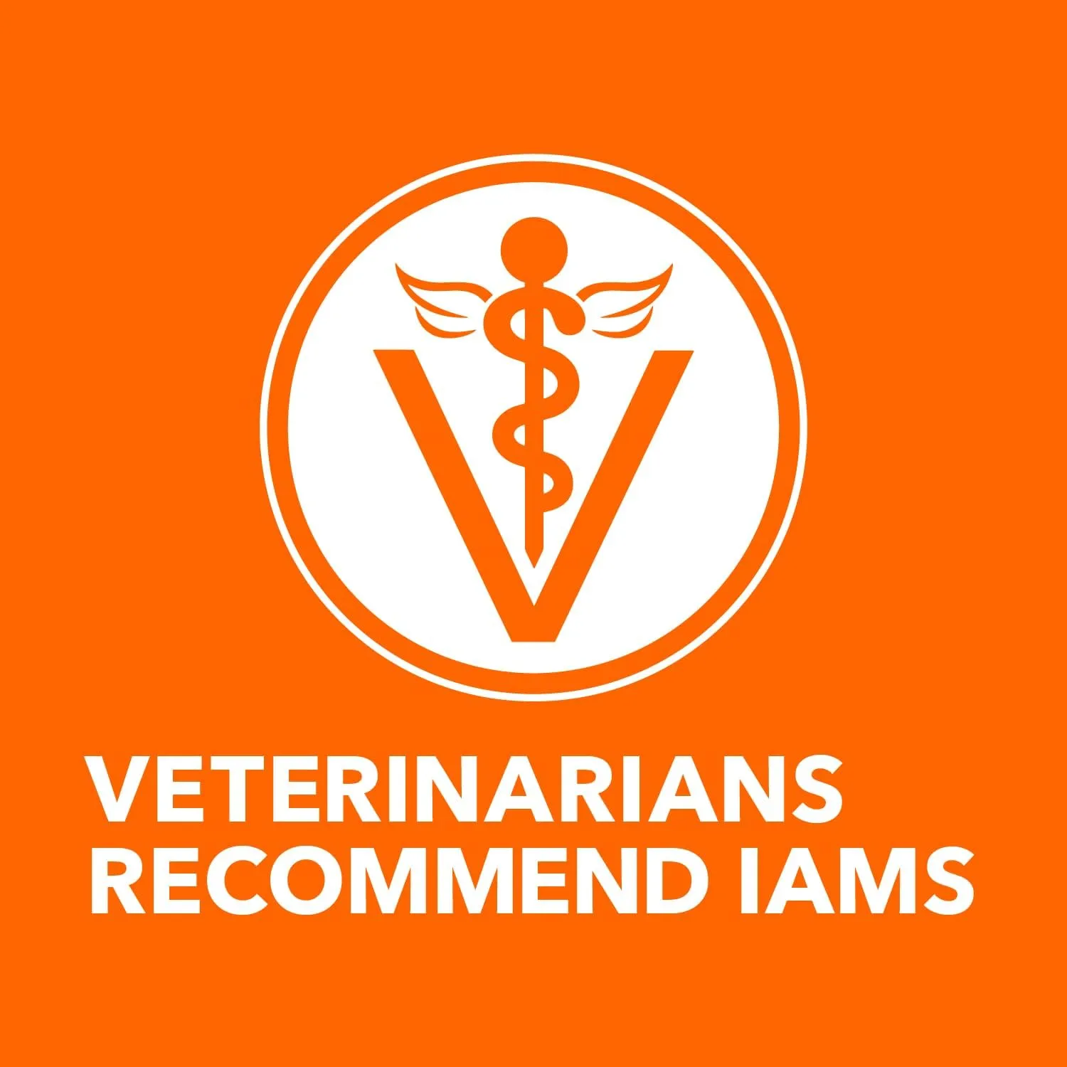 IAMS Perfect Portions Indoor Adult Grain Free Wet Cat Food Paté, Turkey Recipe, 2.6 oz. Easy Peel Twin-Pack Trays (24 Count, 48 Servings)