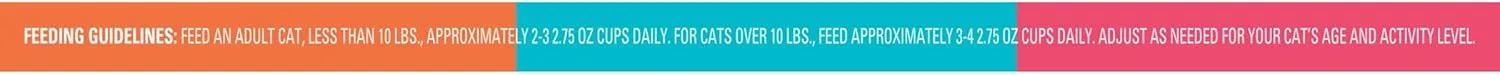 Meow Mix Paté in Gravy Wet Cat Food Variety Pack, Surf n’ Turf Patés 2.75 Ounce (Pack of 24)