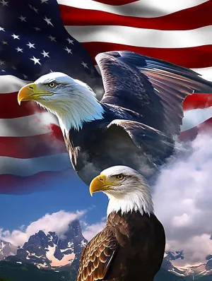 Mighty Eagle and National Flag Diamond Painting Kits for Beginner, 5d DIY Diamond Painting Kits for Adult Animal, Paint by Number Without Frame Home Wall Decor 20 * 24Inch