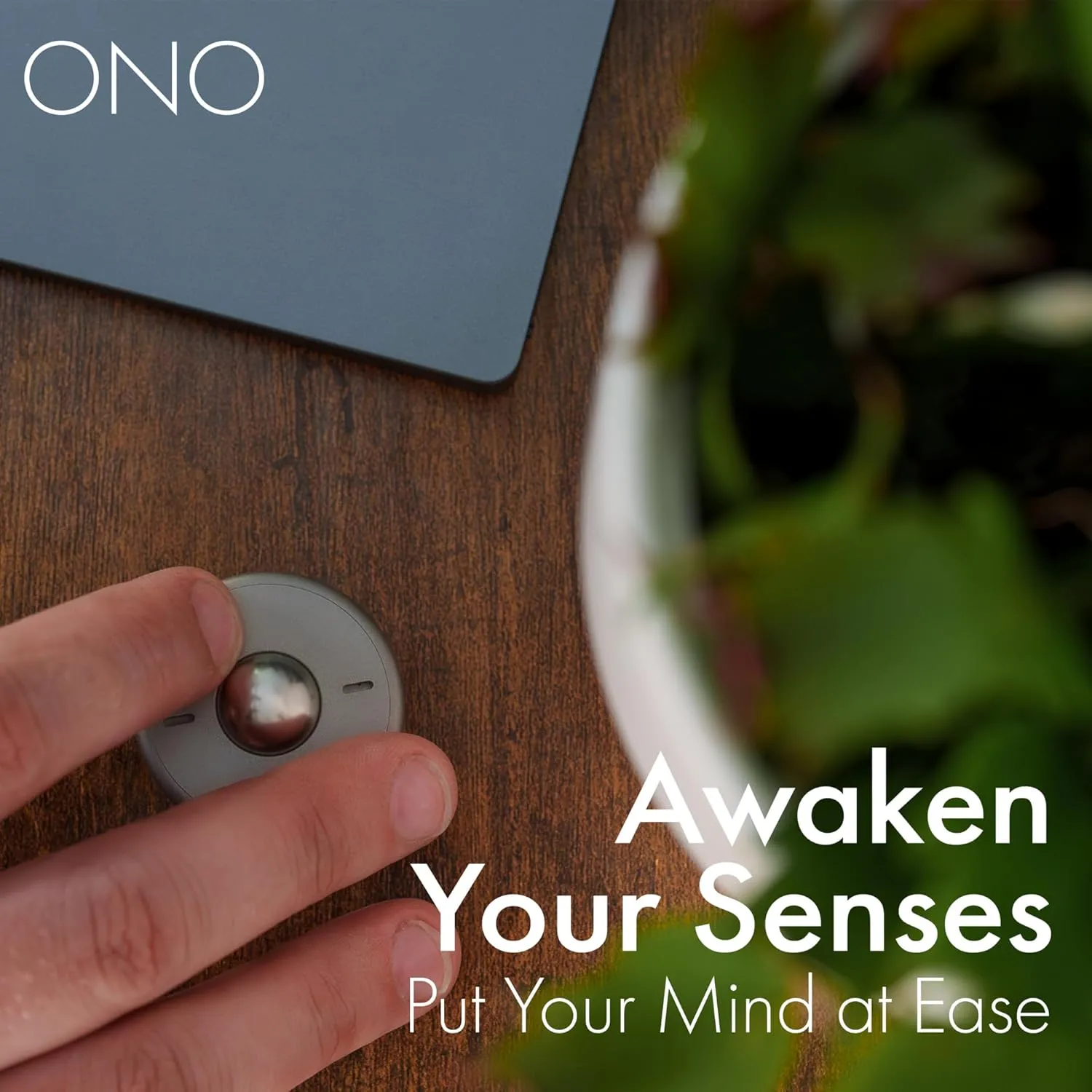 ONO Scroller- Handheld Fidget Toy for Adults | Help Relieve Stress, Anxiety, Tension | Promotes Focus, Clarity | Compact, Portable Design (Natural - Titanium)