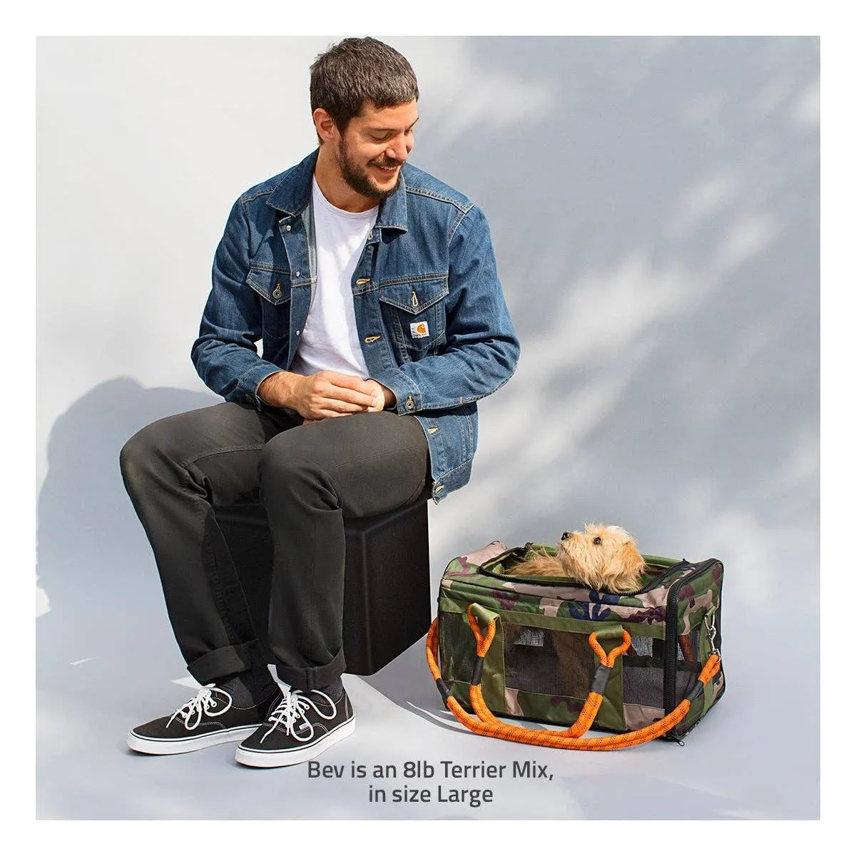 OUT-OF-OFFICE PET CARRIER