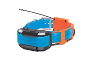 PATHFINDER2 TRX RECEIVER - BLUE