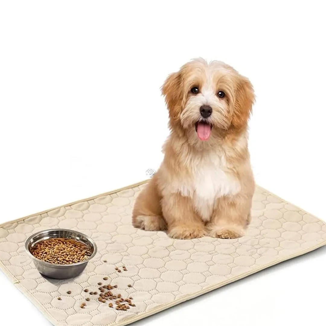 PAWMOM Super Absorbent Washable Pee Pads with Non-Slip Design for Pets