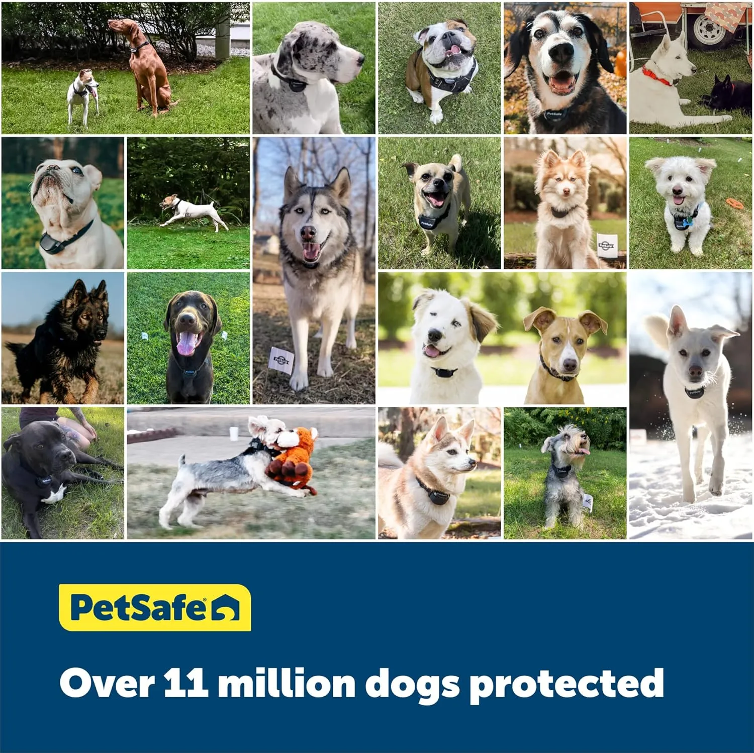 PetSafe YardMax Dog Fence Collar, Electric Dog Containment Waterproof Collar, Fits Dogs 5 lb & Up, Adjusts to Fit Neck Sizes 6-28 in, (Black) - from The Parent Company of Invisible Fence Brand
