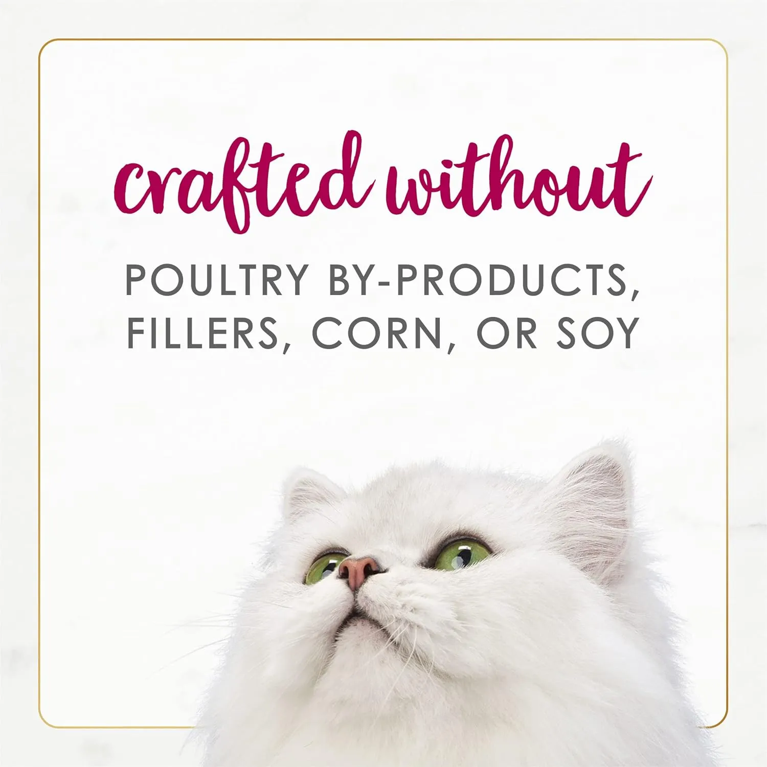 Purina Fancy Feast Gourmet Naturals White Meat Chicken & Beef Recipe Gravy Wet Cat Food, 3 oz, Case of 12, 12 X 3 OZ