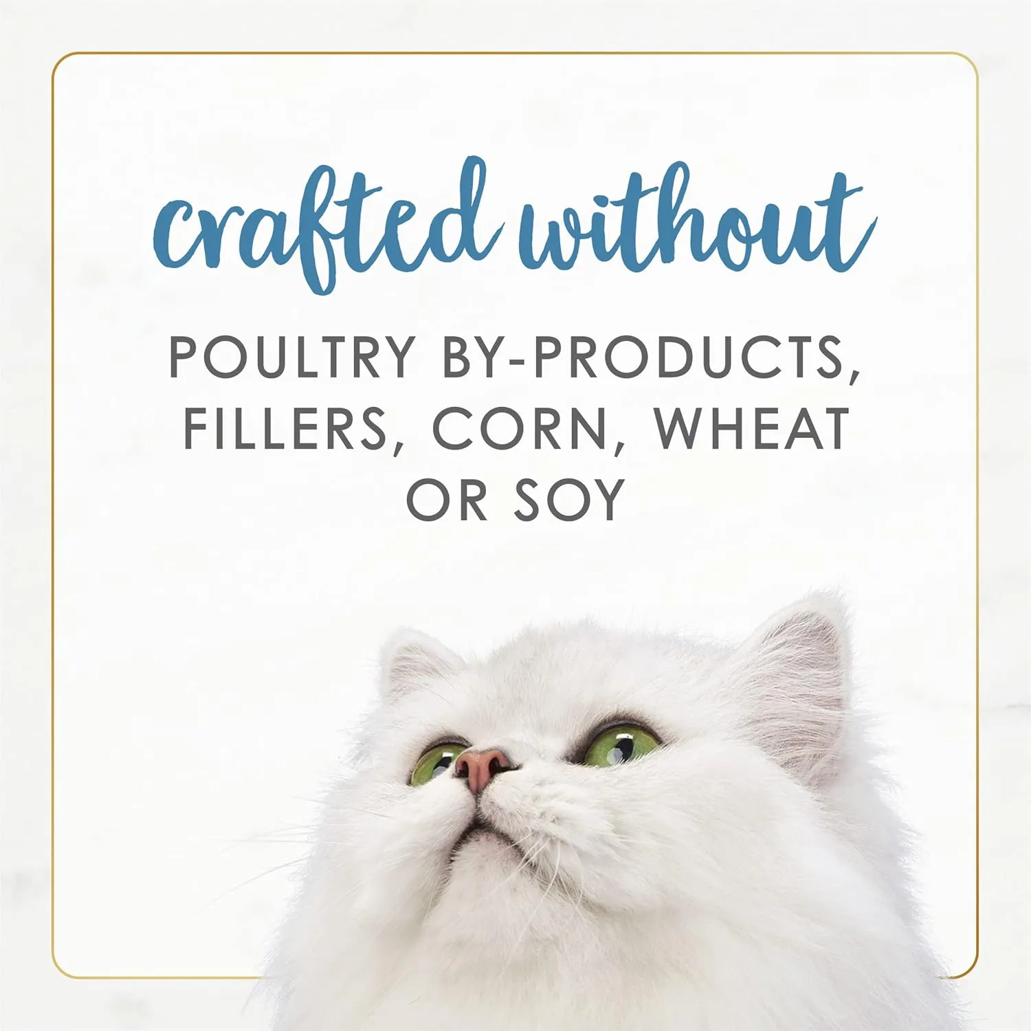 Purina Fancy Feast Grain Free Wet Cat Food Pate Gourmet Naturals Trout and Tuna Recipe - (Pack of 12) 3 oz. Cans