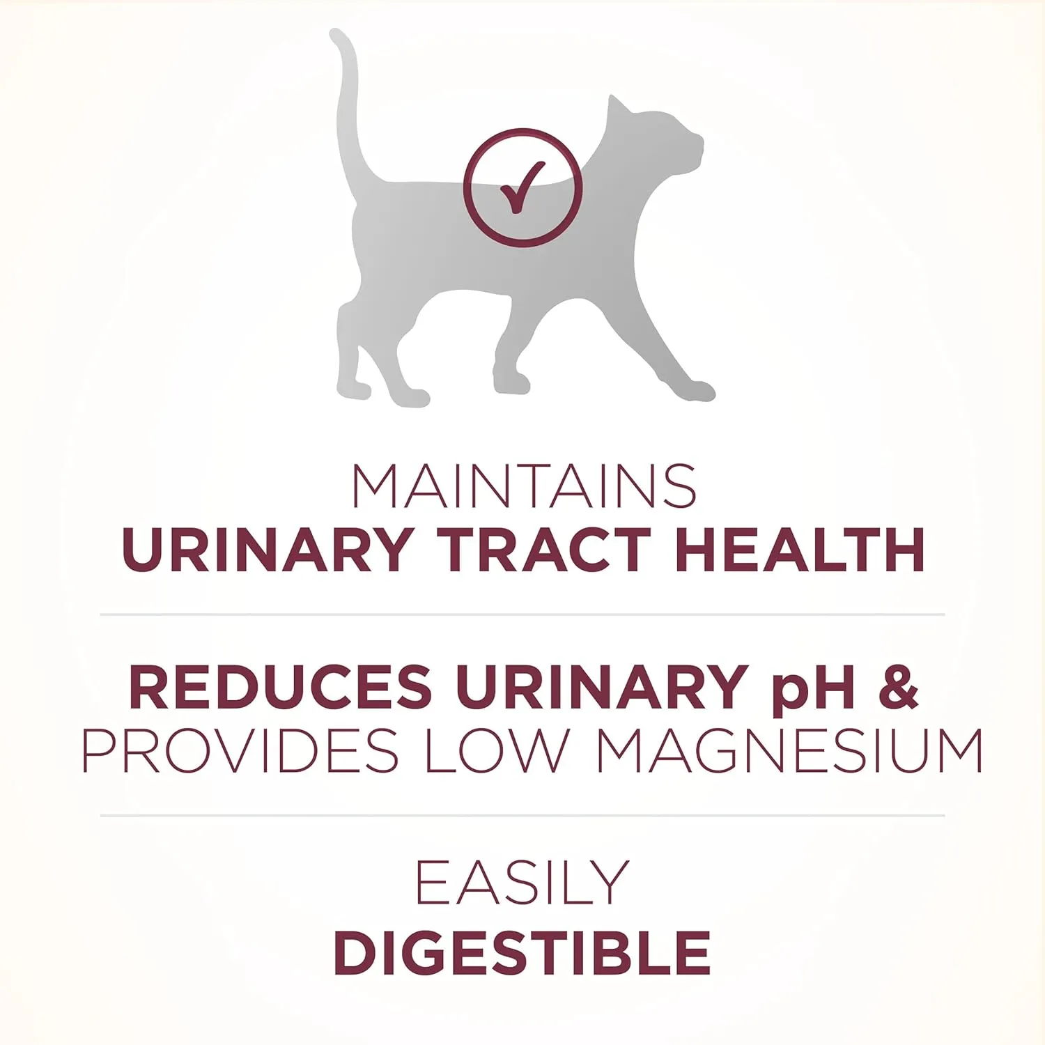 Purina ONE High Protein Dry Cat Food,  Plus Urinary Tract Health Formula - 16 lb. Bag