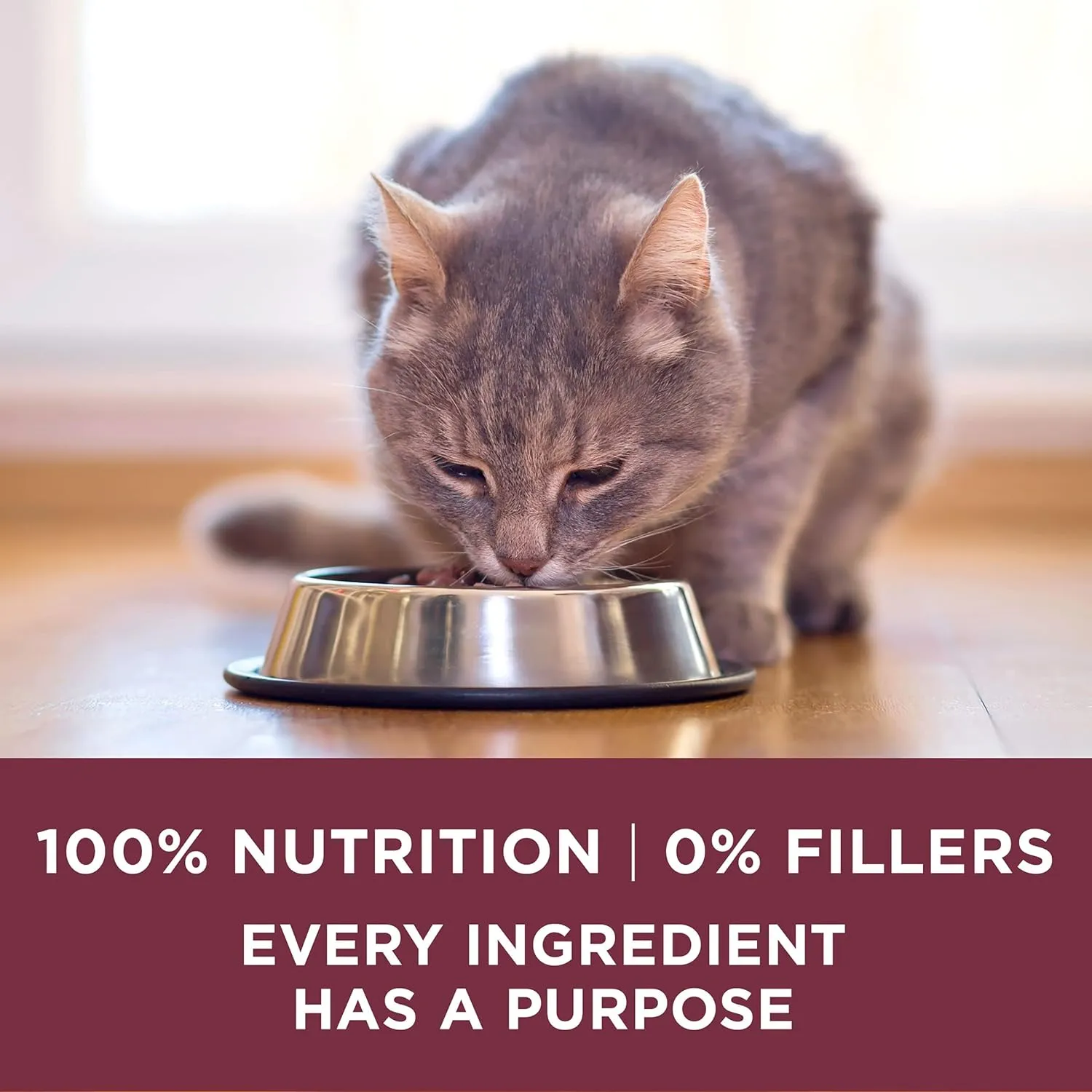 Purina ONE High Protein Dry Cat Food,  Plus Urinary Tract Health Formula - 16 lb. Bag