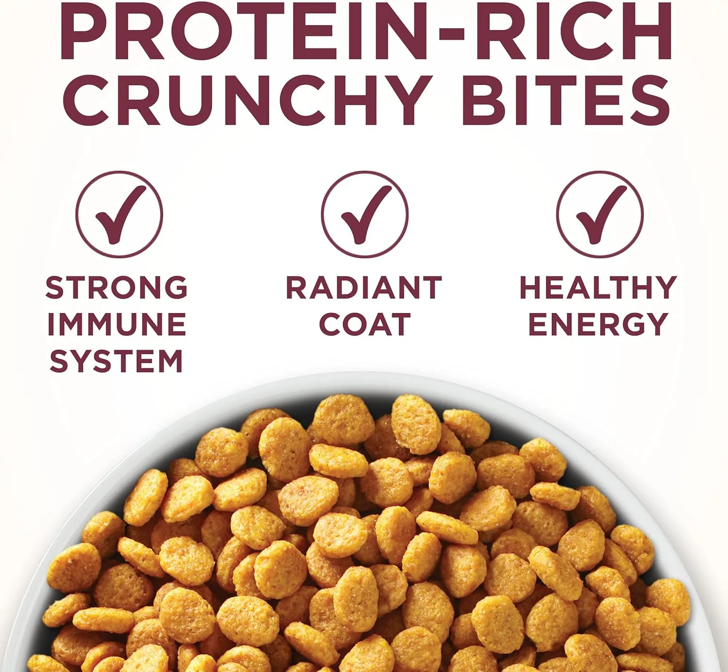 Purina ONE High Protein Dry Cat Food,  Plus Urinary Tract Health Formula - 16 lb. Bag