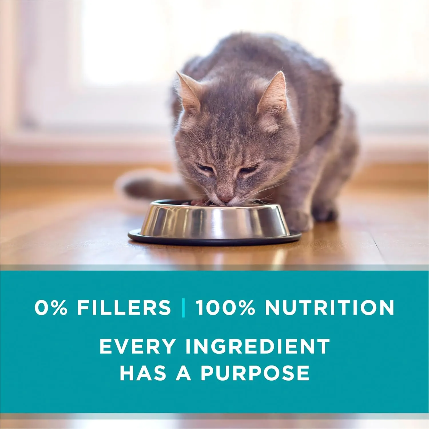Purina ONE Natural, High Protein, Grain Free Wet Cat Food Pate, Beef Recipe - (Pack of 24) 3 oz. Pull-Top Cans