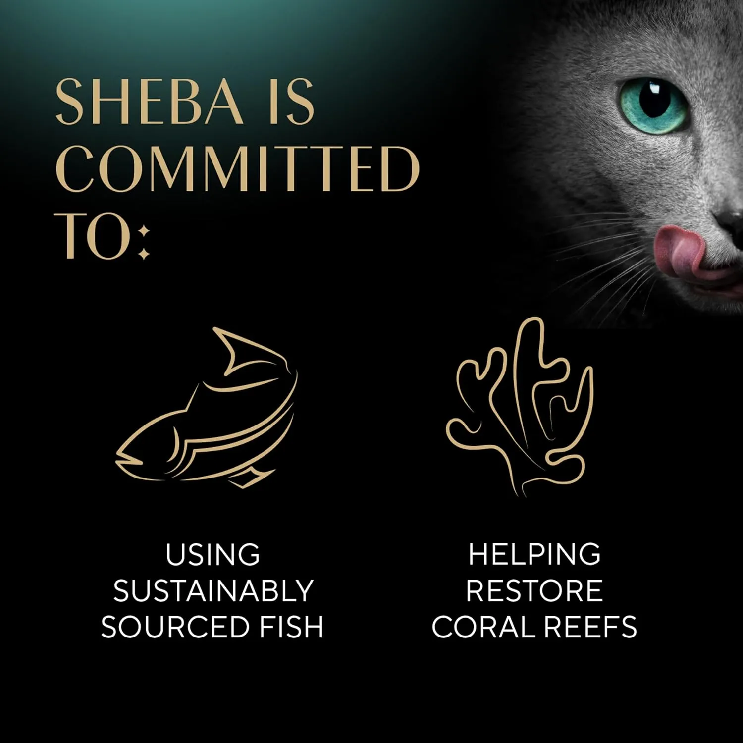 Sheba Meaty Tender Sticks Soft Cat Treats with Chicken, Tuna Flavor, and Salmon Flavor, 0.14 oz., 70 Count