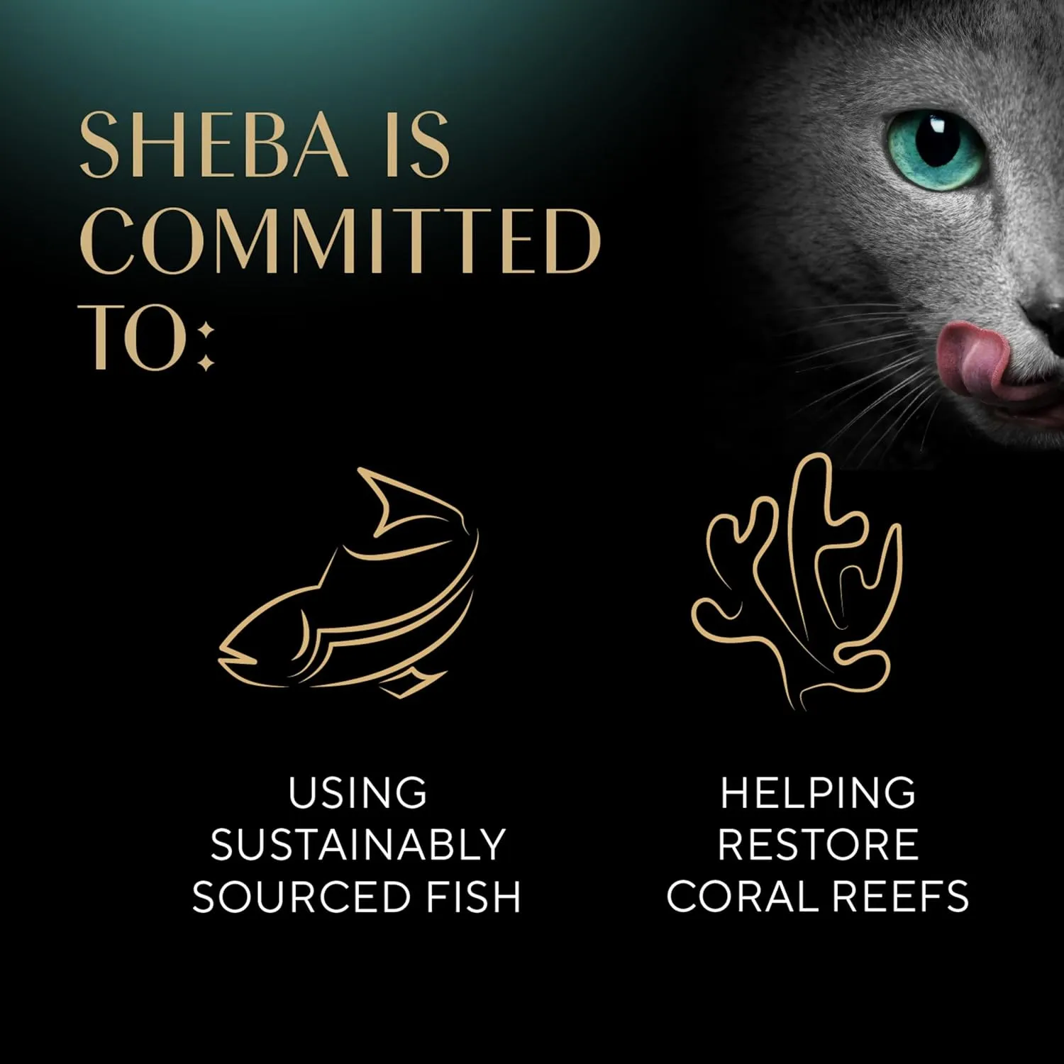 Sheba Perfect Portions Bistro Adult Wet Cat Food, Salmon in Creamy Sauce Entree, (24) 2.6 oz. Twin-Pack Trays