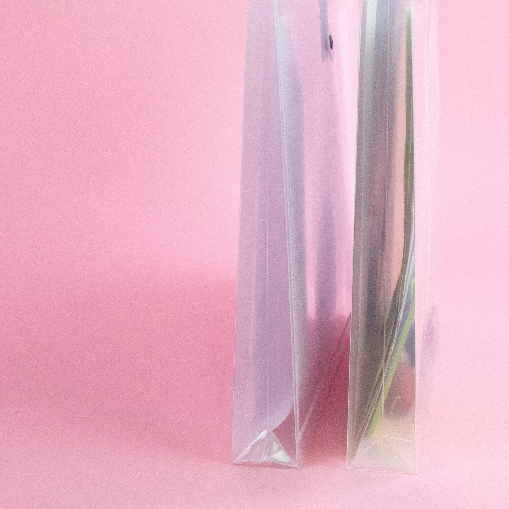 String Envelope Letter Size Clear Top/Side Loading (2/Pack)