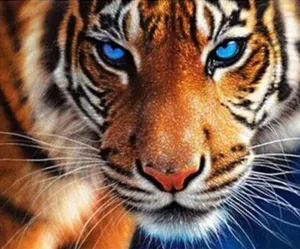 Tiger on the Prowl - GemPaint™ Kit