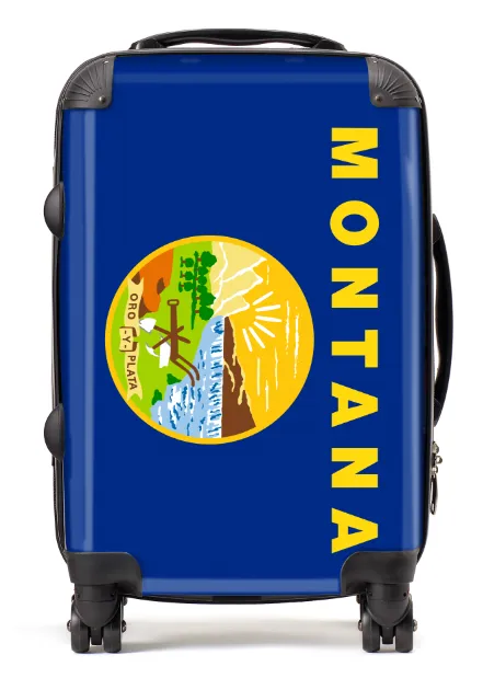 USA State Flags Hand Luggage Cabin Bag Suitcase 4 Wheeled Trolley
