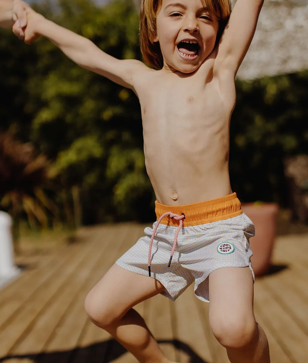 Vichy Swim Shorts