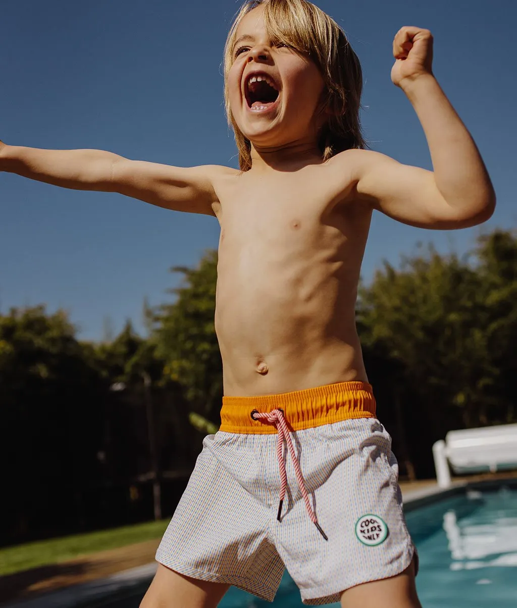 Vichy Swim Shorts