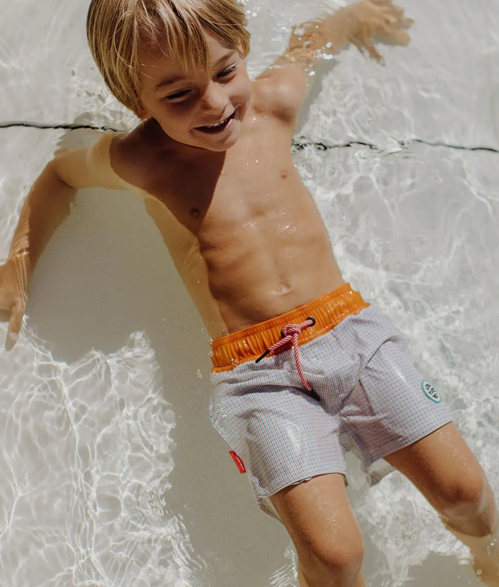 Vichy Swim Shorts
