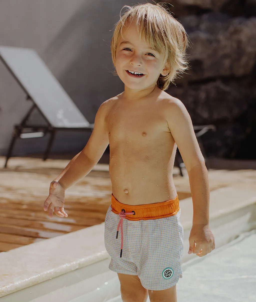 Vichy Swim Shorts
