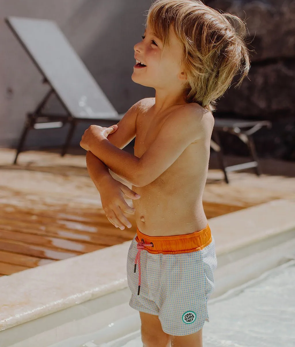 Vichy Swim Shorts