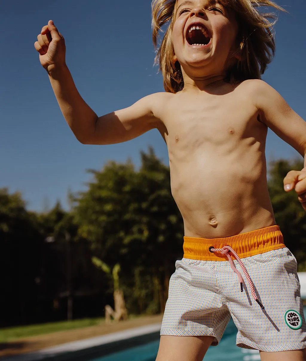 Vichy Swim Shorts