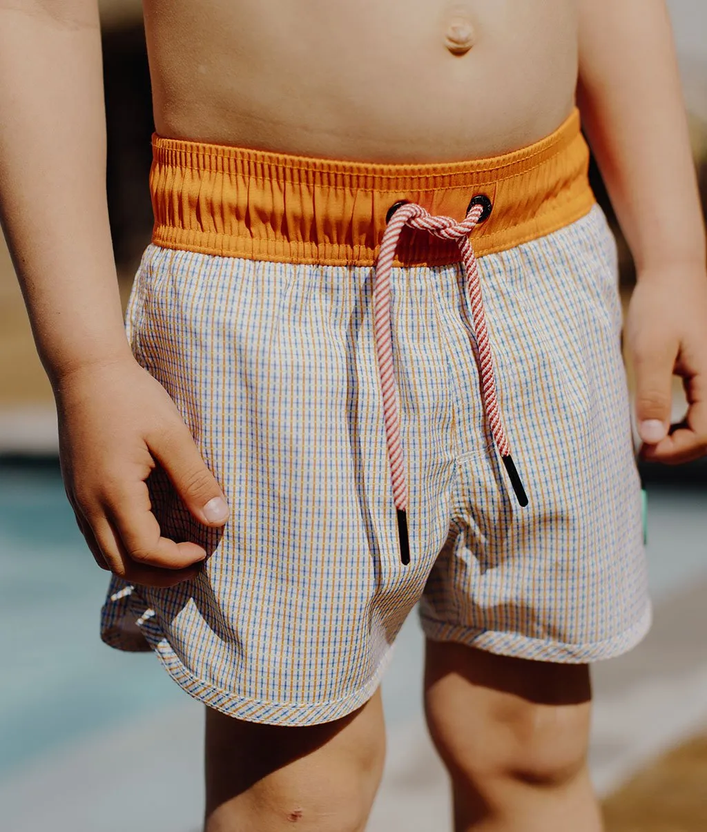 Vichy Swim Shorts