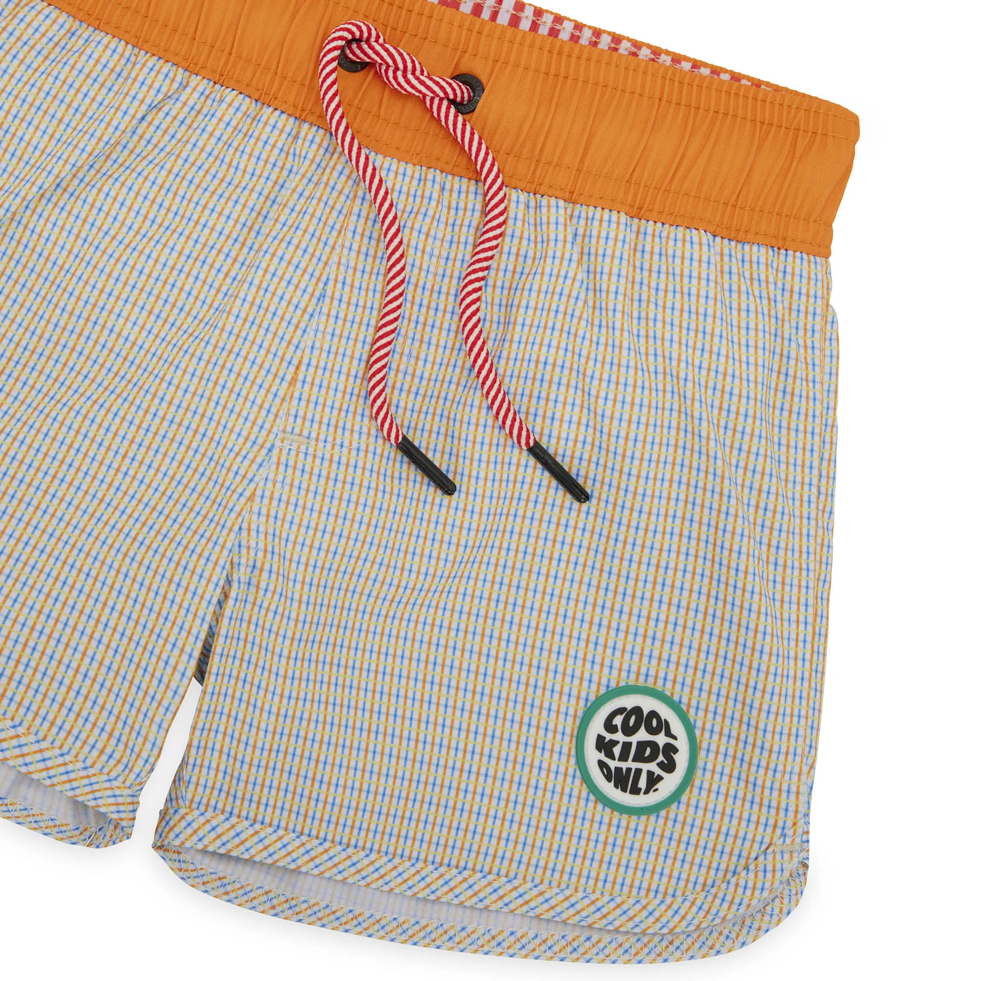 Vichy Swim Shorts