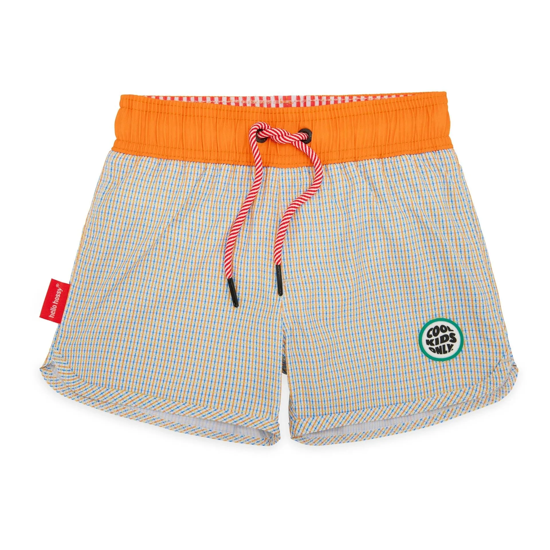 Vichy Swim Shorts