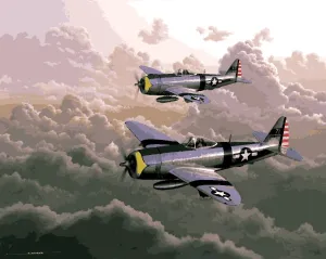 WW2 Collection PD (105) - P-47 Thunderbolt Aircraft - Van-Go Paint-by-Number Kit 40x50cm DIY Frame