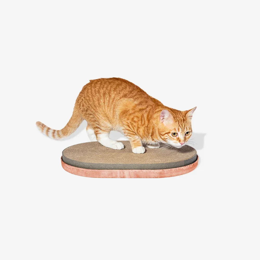 Zee Cat Cat Scratcher Citrus